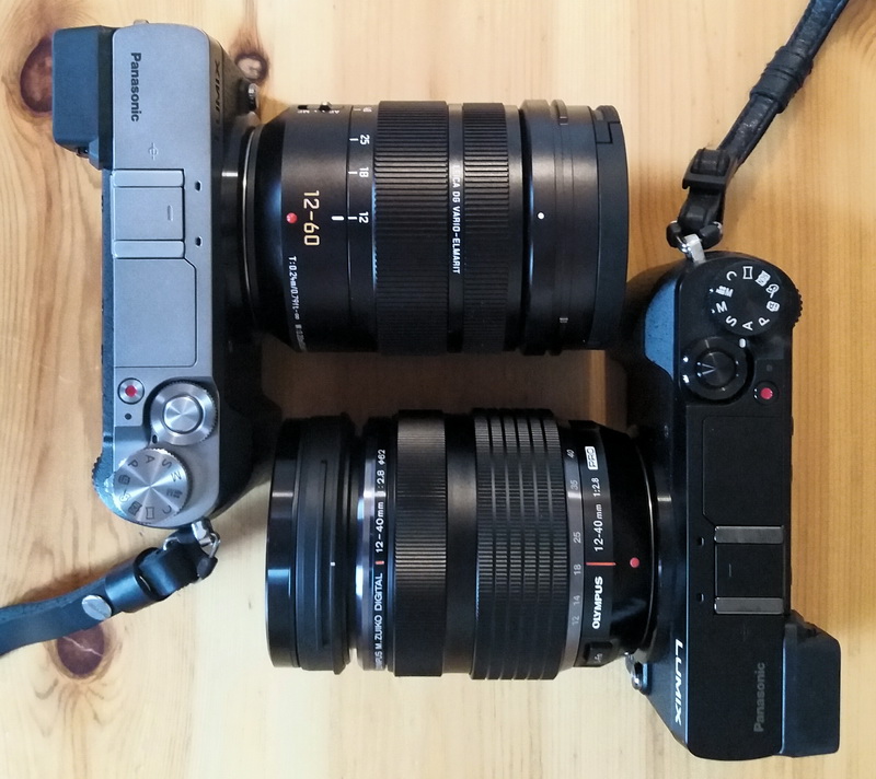 Panasonic Leica DG Vario-Elmarit 12-60 mm f/2,8-4 170304022659963100